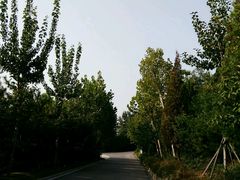 -龙口南山旅游景区