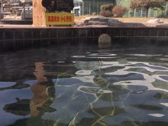-龙达温泉生态城