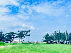 -威海国际海水浴场旅游区
