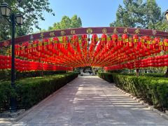 -大槐树寻根祭祖园