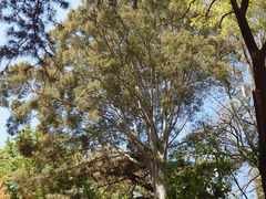 -北京鹫峰国家森林公园