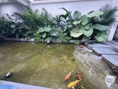 -漫笙舍Manse·咖啡·民宿