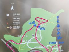 -上海佘山国家森林公园天马山园