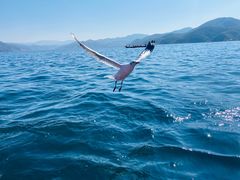-丽江泸沽湖景区