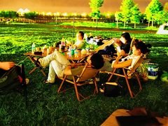 -春花秋色城市公园