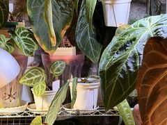 -About Bistro關於·泰式家庭料理