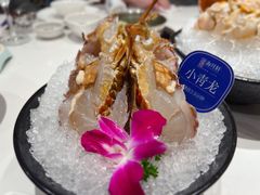 小青龙-海月轩海鲜豆捞(紫金塔店)