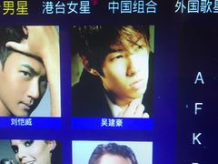 -金青果甄选KTV(劳动公园店)