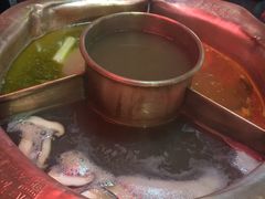 -老诚一锅羊蝎子(黄寺大街店)
