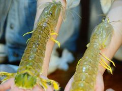 -凯华海鲜火锅·传承三十六年