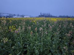 -中国天府农业博览园