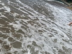 -棒棰岛宾馆景区