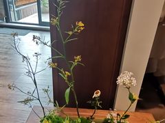 -汉艺唐风茶艺培训(联发华美空间店)