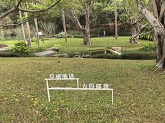 -云溪植物园
