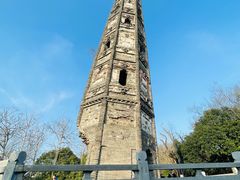 -上海佘山国家森林公园天马山园