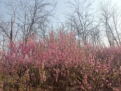 -瀛海足球主题公园