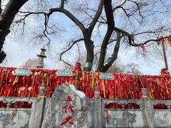 -大槐树寻根祭祖园