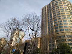 -浙江大学医学院附属第二医院(解放路院区)