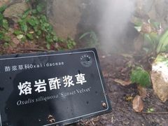 -东莞植物园