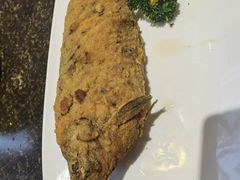 -老牌坊鲁菜名店(聊城美食岛店)