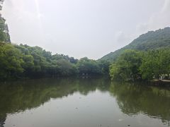 -八卦田遗址公园