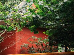 -长颈鹿咖啡(大学路店)