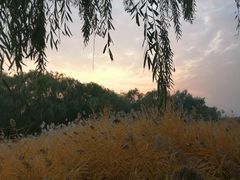 -永定河休闲森林公园