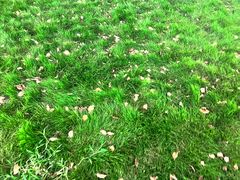 -CAMP.33露营烤肉·团建聚餐(创智天地店)