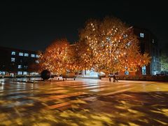 -北京市海淀外国语实验学校