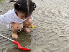 -南汇嘴观海公园