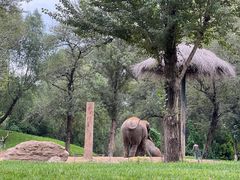 -北京野生动物园