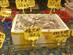 -厦门轮渡码头