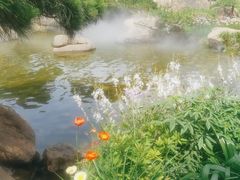 -罗红摄影艺术馆