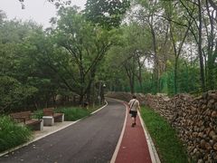-云岗森林公园