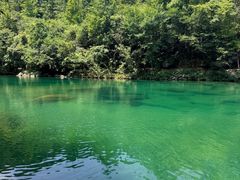 -石台牯牛降景区