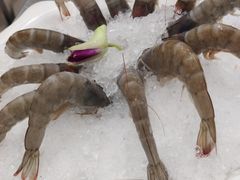 大虾-红菇坊鲜汤火锅(北站店)