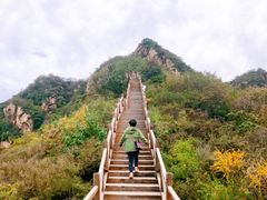 -大岭沟猕猴桃谷风景区