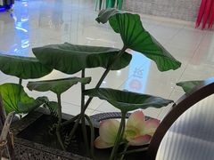 -新辣道鱼火锅(上地华联店)