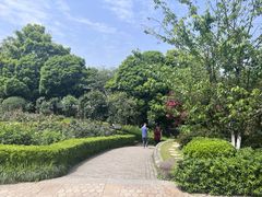 -南山植物园