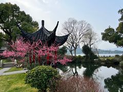 -杭州西湖柳莺里酒店