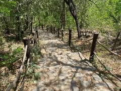 -阳台山自然风景区
