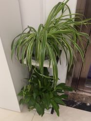 -香秀空间科技抗衰·美容中心