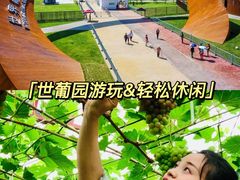 -沉浸北京·团建旅行·密室剧本杀·年会会议轰趴拓展