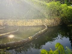 -成都市活水公园