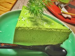 -柴务处·柴犬主题狗咖