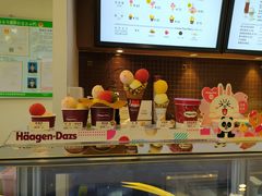 -哈根达斯(石家庄北国店)