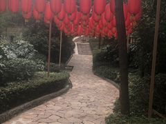 -天目湖涵田半山温泉