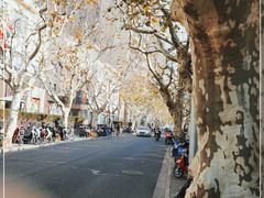 -La Strada(安福路店)