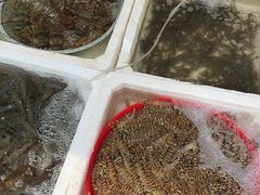 -上海浦南农副产品批发市场