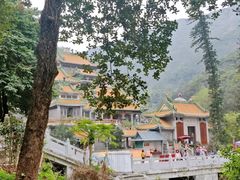 -南海湾森林生态园